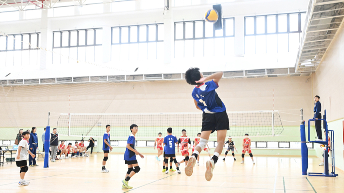 【电脑壁纸】——这里是多特蒙德的威斯特法伦